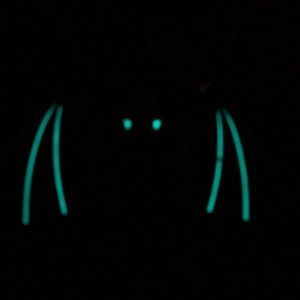 Meet your Posher, Tommy